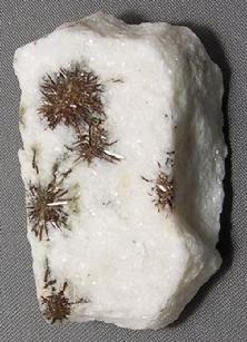 Photo of Astrophyllite from Kola Peninsula, Russia, mineral crystal specimen