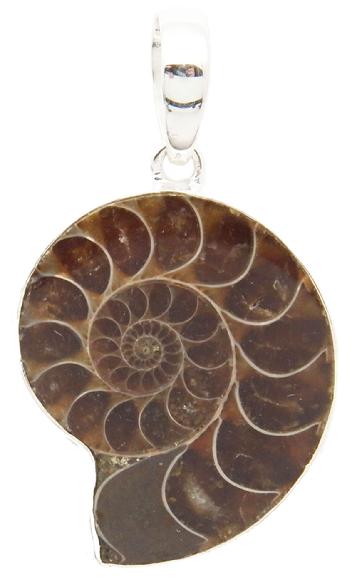 photo of ammonite sterling silver pendant