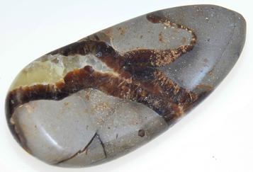 Photo of septarian massage wand from madagascar hand polished and shaped #1b