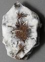Astrophyllite from Kola Penninsula, Russia